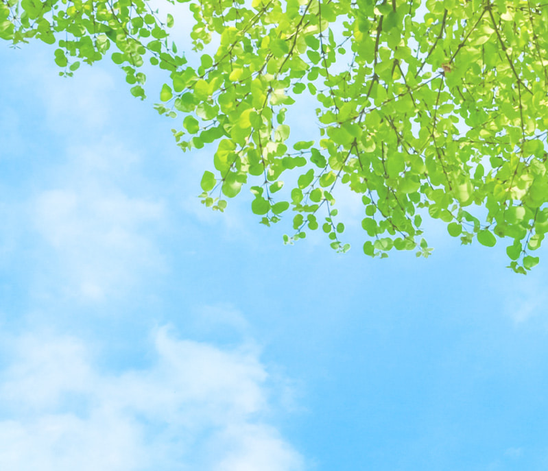 よくあるご質問