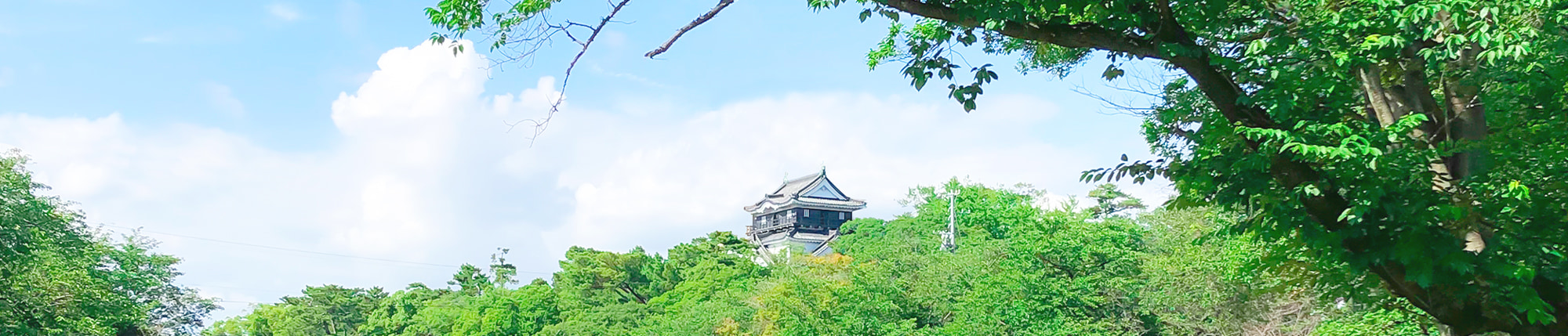 岡崎市の保険代理店は岡崎保険サービス