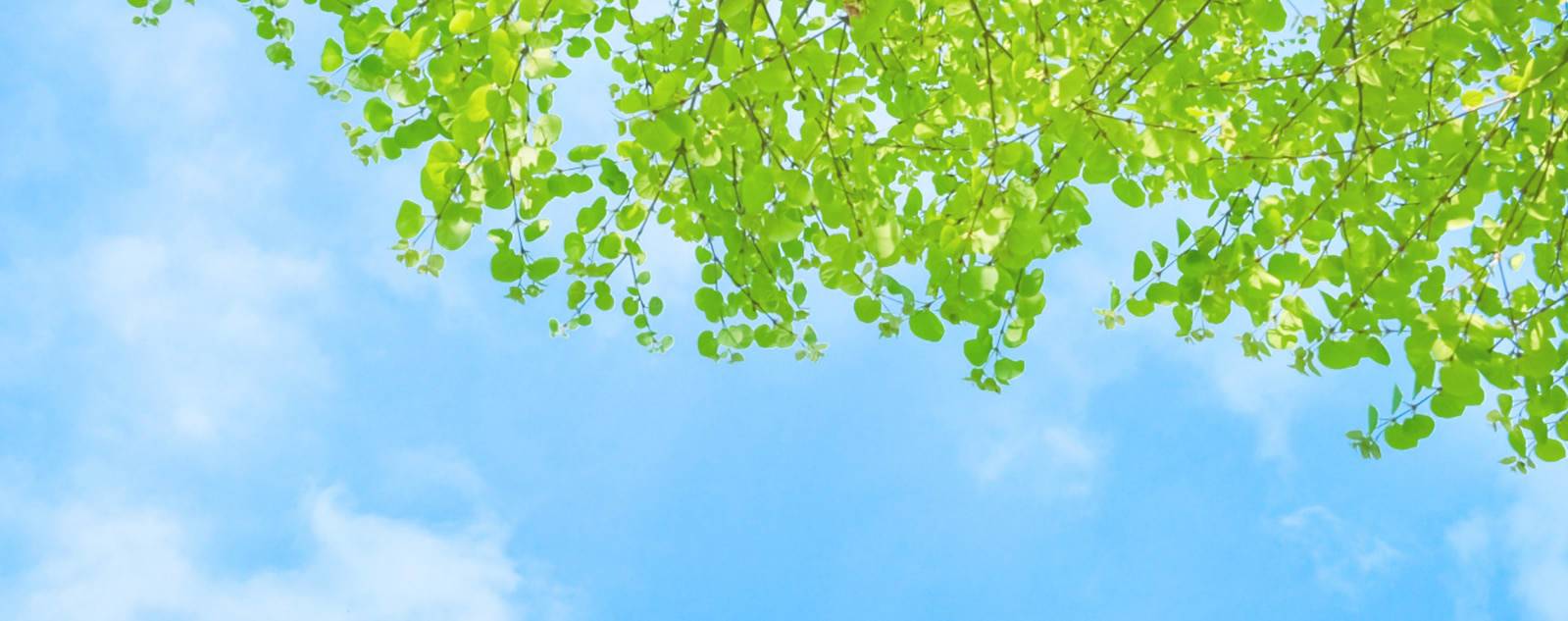 よくあるご質問